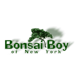 Bonsai Boy Of New York